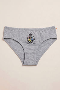 Zivame Girls Harry Potter Briefs (Pack of 2) - Multicolor — thumbnail 6